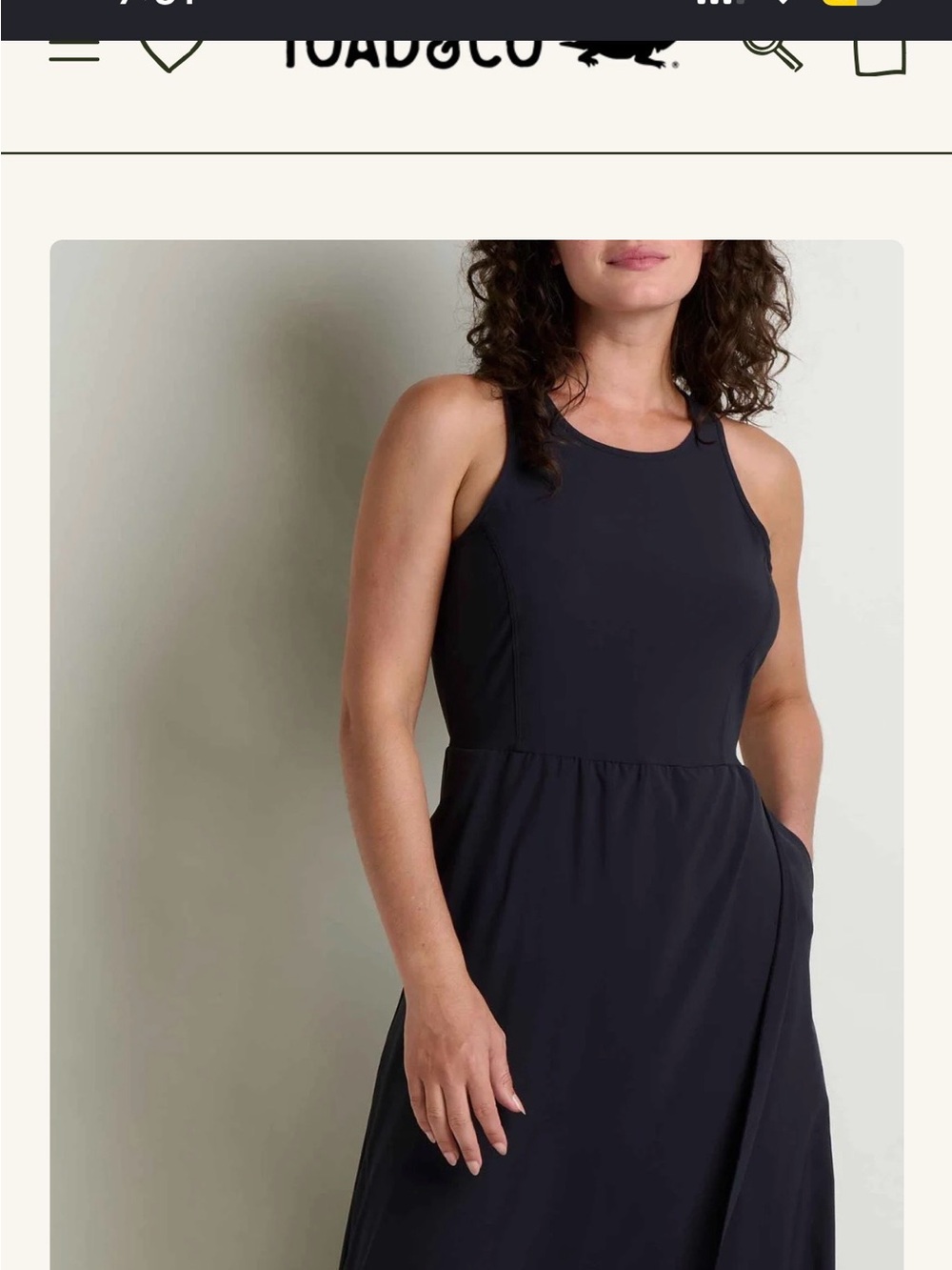 Toad&Co Black Sleeveless A-Line Dress